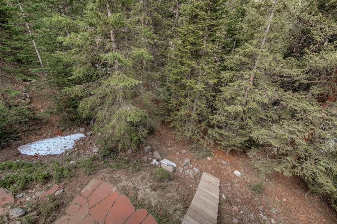 493 Rena Road Breckenridge, CO 80424 - Photo 9 of 30 View from deck, looking onto patio below and set of wood stairs for further exploring the surroundings.