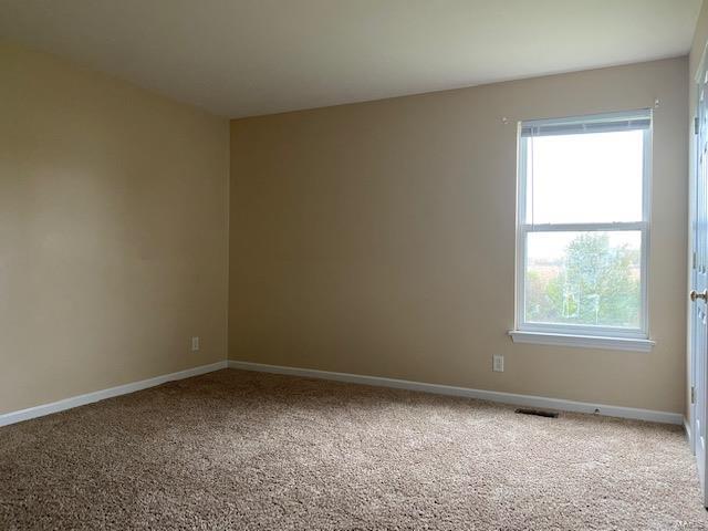 876 Calista Ridge Shiloh, IL 62221 - Photo 22 of 25