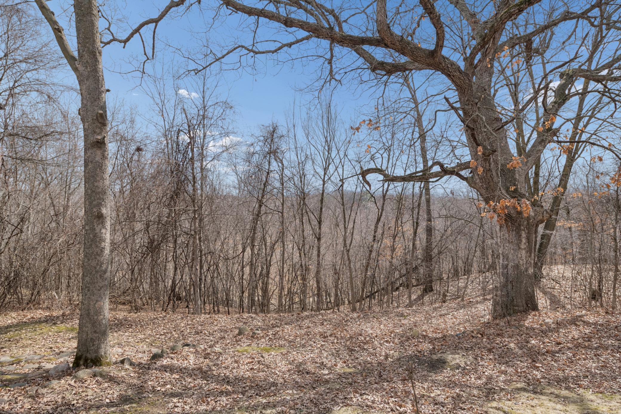 42615 John's Way Harris, MN 55032 - Photo 9 of 37