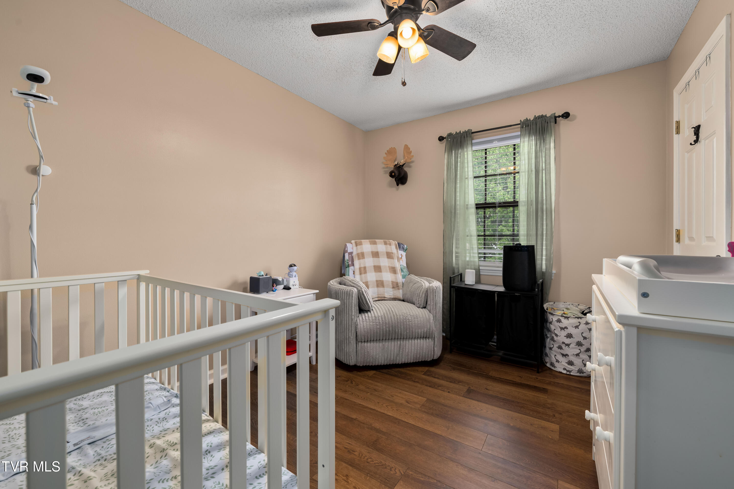 253 Springview Drive Gray, TN 37615 - Photo 17 of 45 253 Springview Dr (35 of 46)