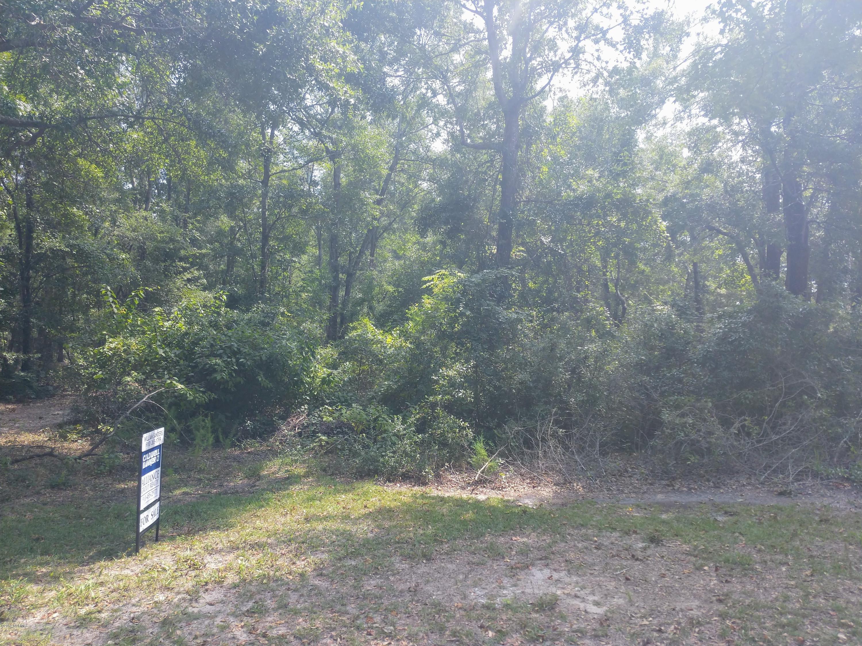 Lot 3 Riley Lewis Road Sneads Ferry, NC 28460 - Photo 3 of 8 IMG_20190909_133347731