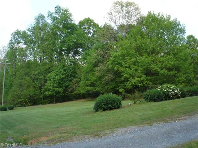 763 Bescher Chapel Road Trinity, NC 27370 - Photo 4 of 16 Land/Lot. side yard
