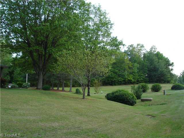 763 Bescher Chapel Road Trinity, NC 27370 - Photo 5 of 16 Land/Lot. side yard