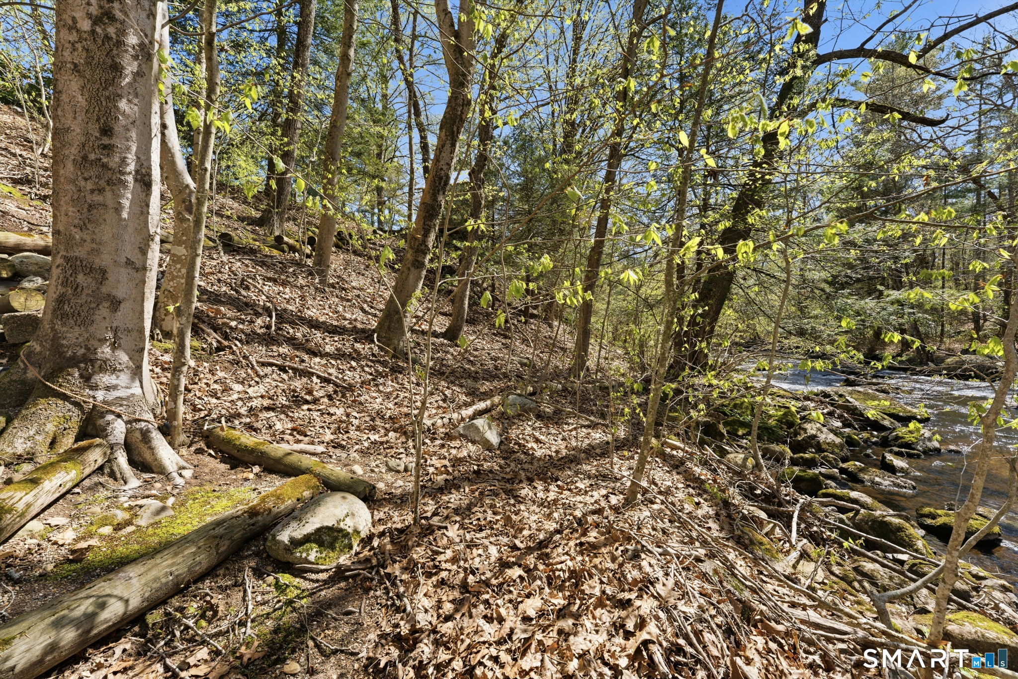 97 Brookside Lane Mansfield, CT 06250 - Photo 3 of 40 Serene and tranquil Mt. Hope River right in your backyard.
