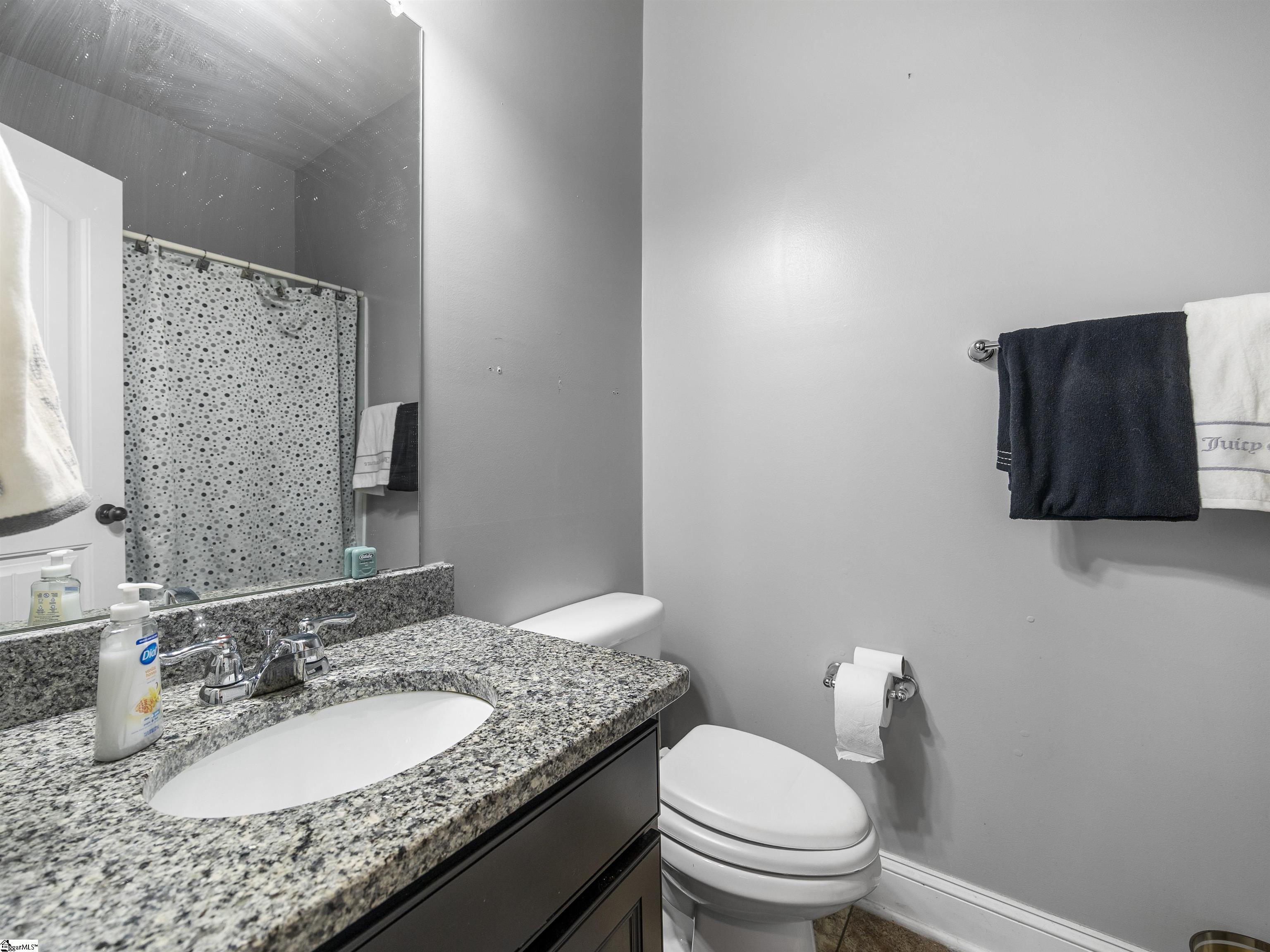 450 Bucklebury Road Greer, SC 29651 - Photo 21 of 47