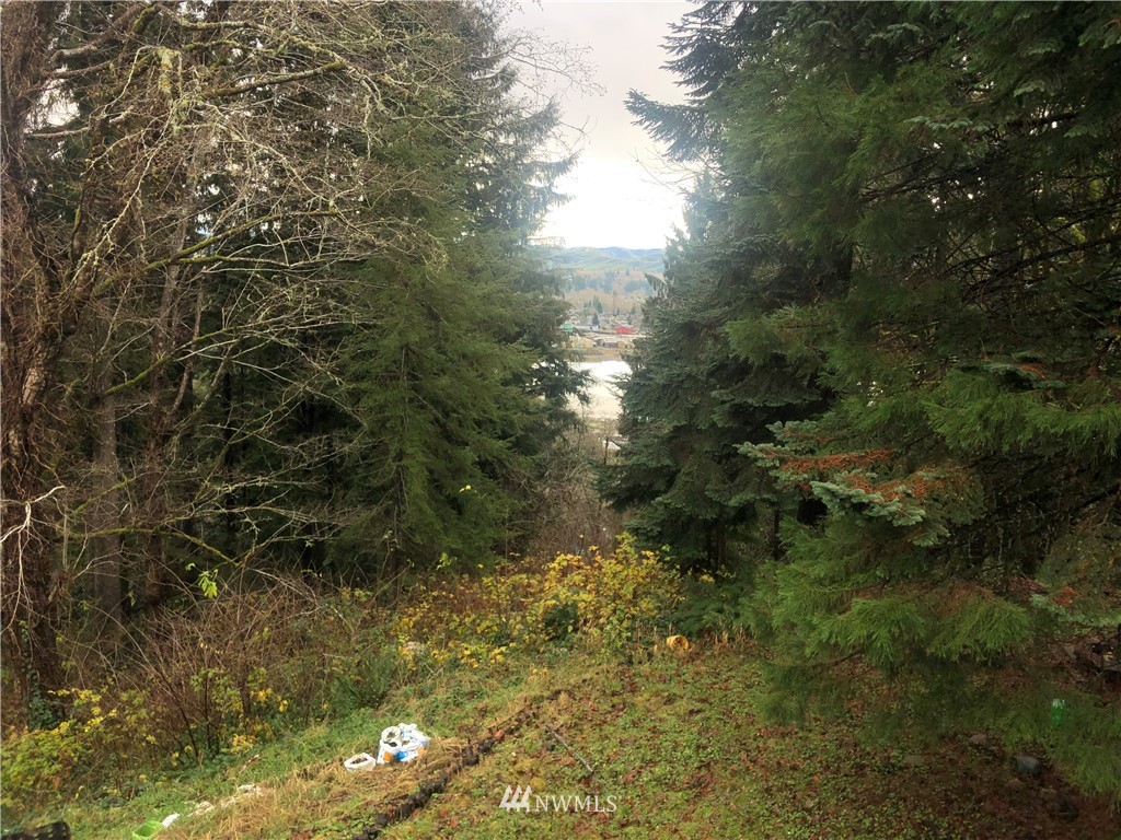 1311 McClellan Street Aberdeen, WA 98520 - Photo 6 of 29 a view of a forest