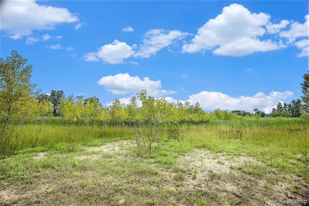 29988 Armada Ridge Road Richmond, MI 48062 - Photo 10 of 25