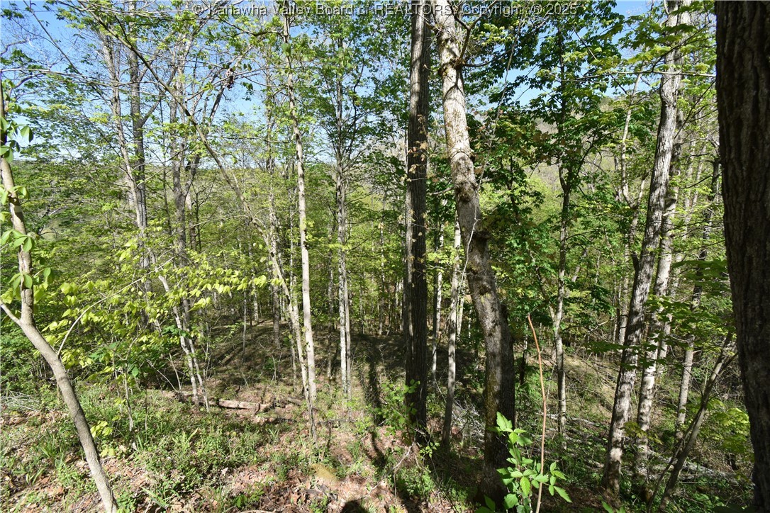 1193 Destiny Road Leon, WV 25123 - Photo 36 of 36 Gallery Image 36