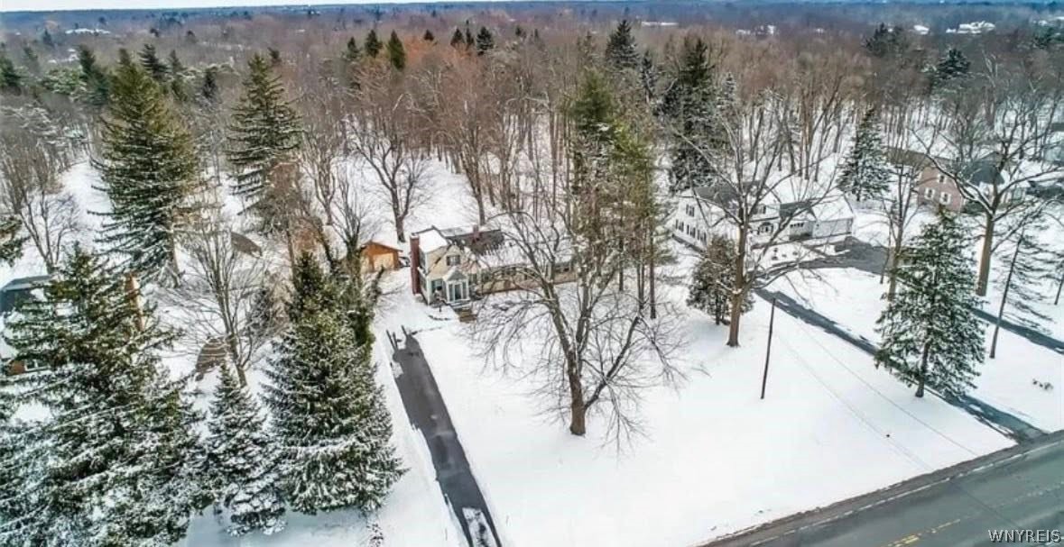 4695 Harris Hill Road Clarence, NY 14221 - Photo 35 of 37