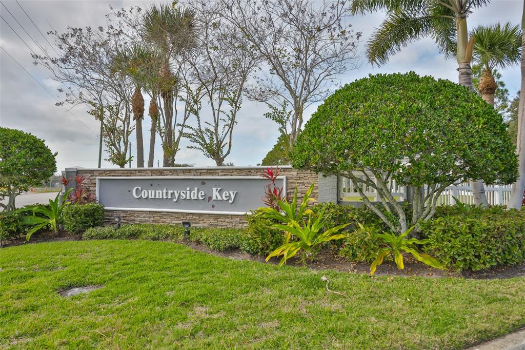 477 Countryside Key Boulevard Oldsmar, FL 34677 - Photo 34 of 46 a sign of golf club on a wall under a tree