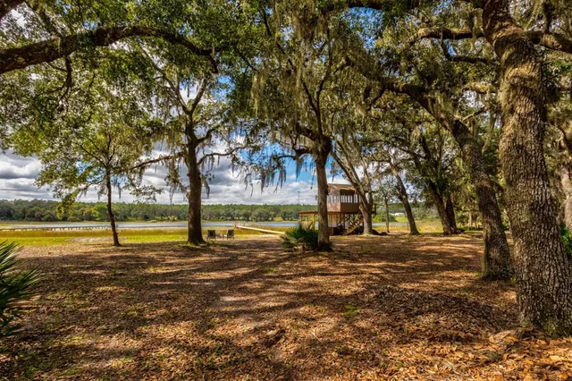 a view of a playground with a tree