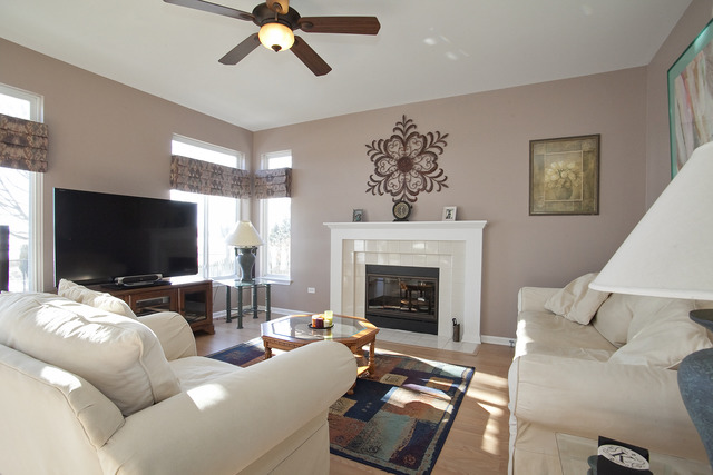 1929 Blossom Ridge Drive Bolingbrook, IL 60490 - Photo 11 of 24
