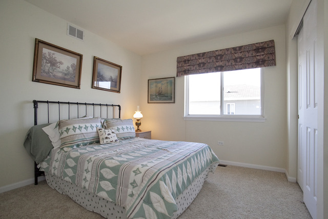 1929 Blossom Ridge Drive Bolingbrook, IL 60490 - Photo 17 of 24