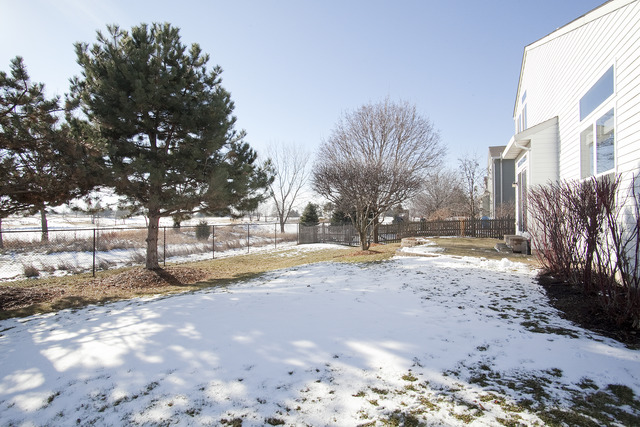 1929 Blossom Ridge Drive Bolingbrook, IL 60490 - Photo 23 of 24