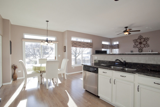 1929 Blossom Ridge Drive Bolingbrook, IL 60490 - Photo 9 of 24