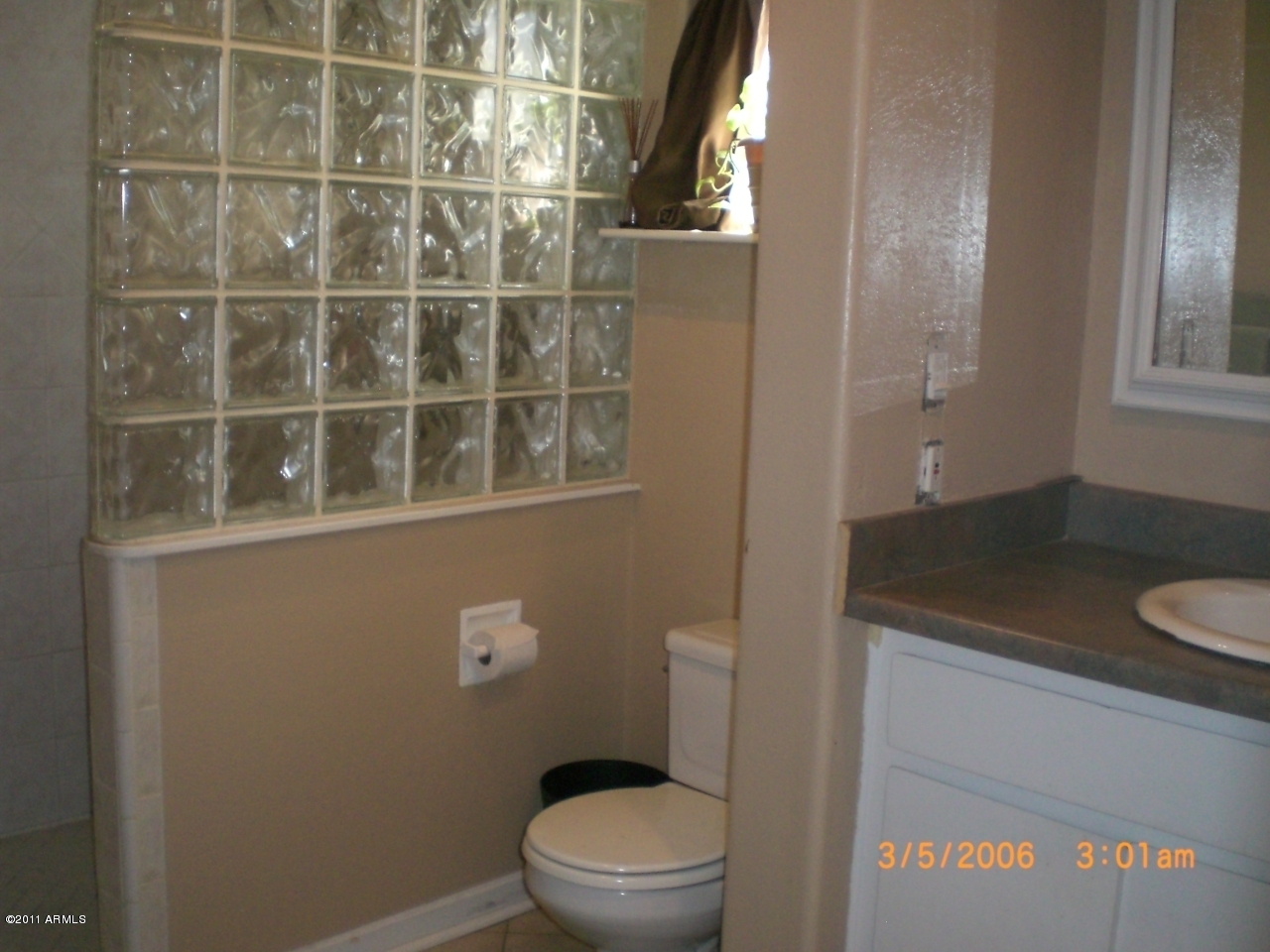 49 East Greenway Road Phoenix, AZ 85042 - Photo 11 of 20 Bathroom