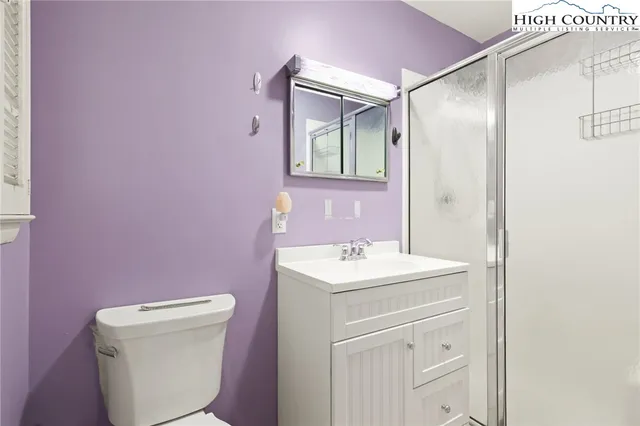 a bathroom with a sink a toilet a mirror and vanity