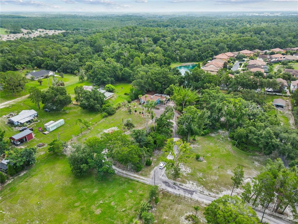 2650 20 Mile Level Road Land O' Lakes, FL 34639 - Photo 60 of 65