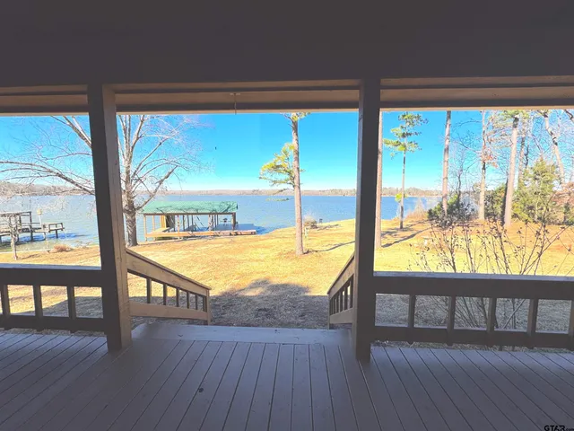 a view of a yard with an tree