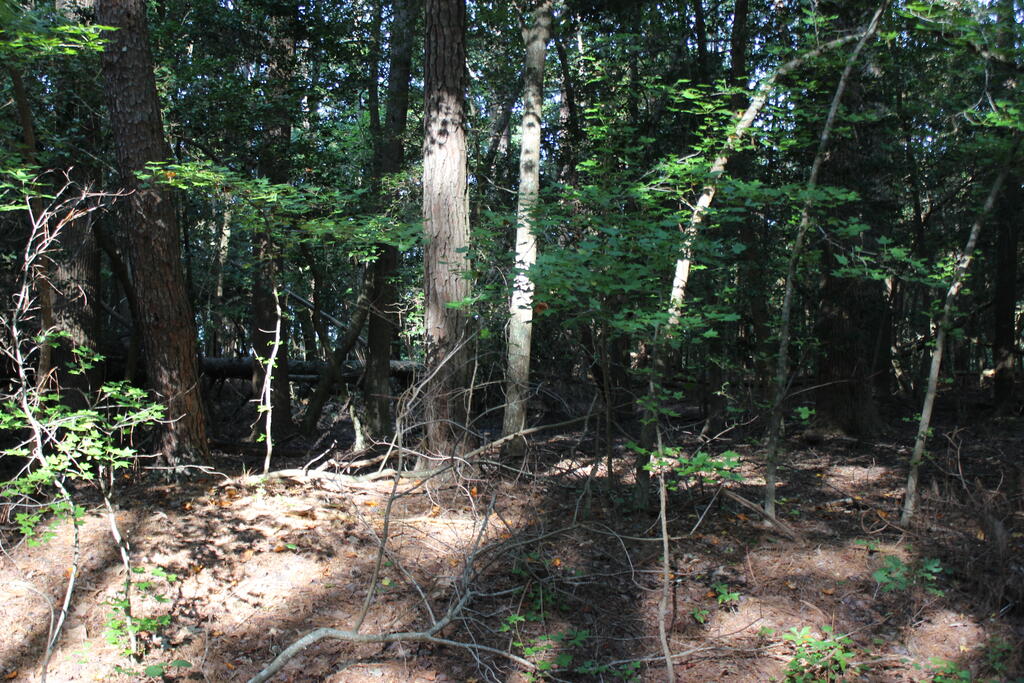 272 Shanghai Road, Unit 272 Greenbackville, VA 23356 - Photo 1 of 28 Gallery Image 1