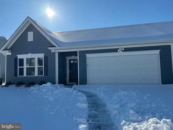 a view of backyard of house