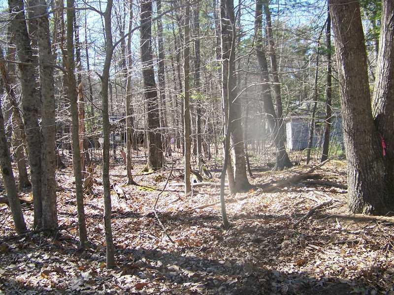 Other. part of the land