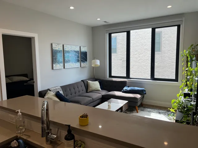 a living room with furniture and a potted plant