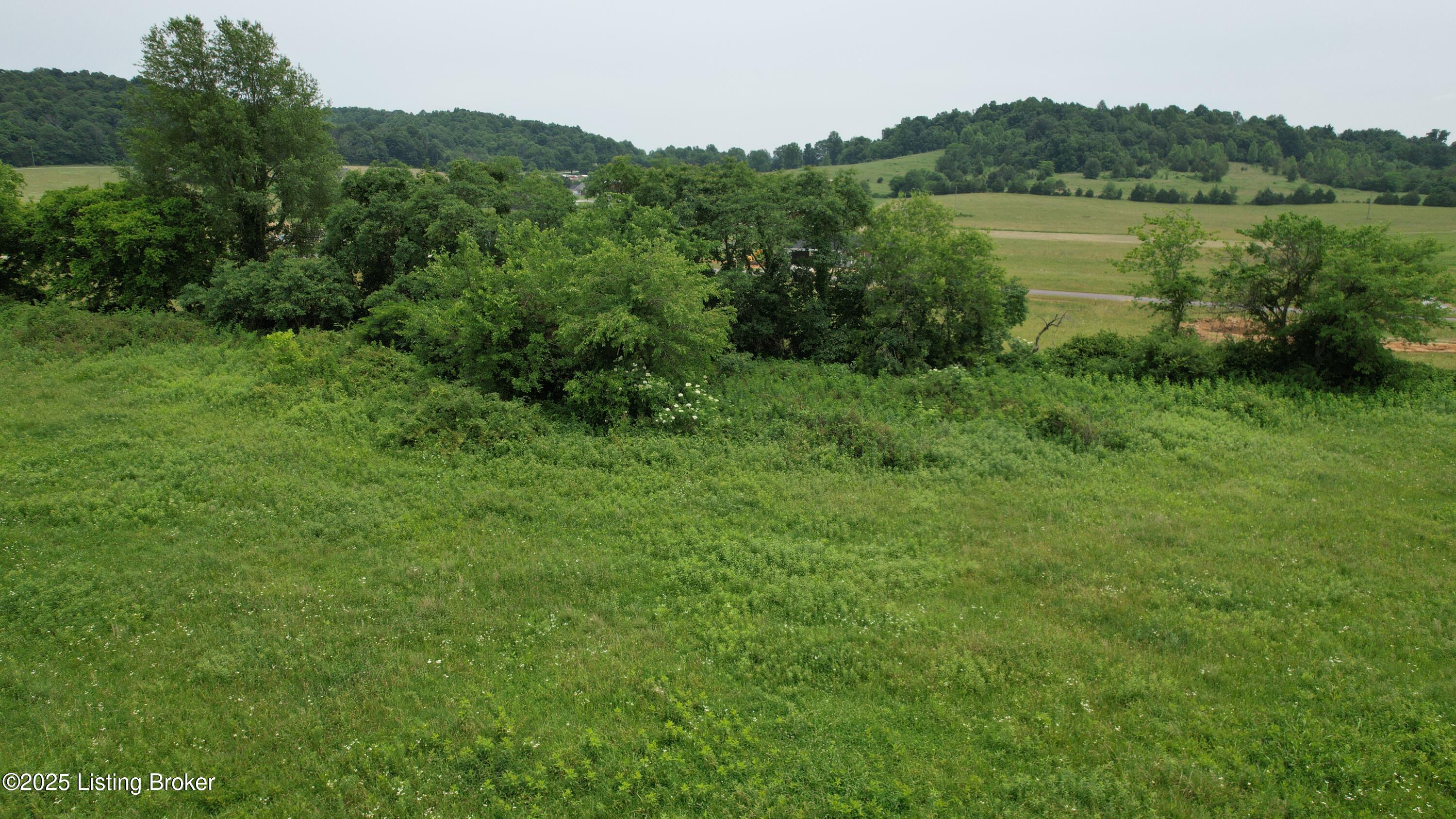 0 Upton Road Upton, KY 42784 - Photo 26 of 71 DJI_0954