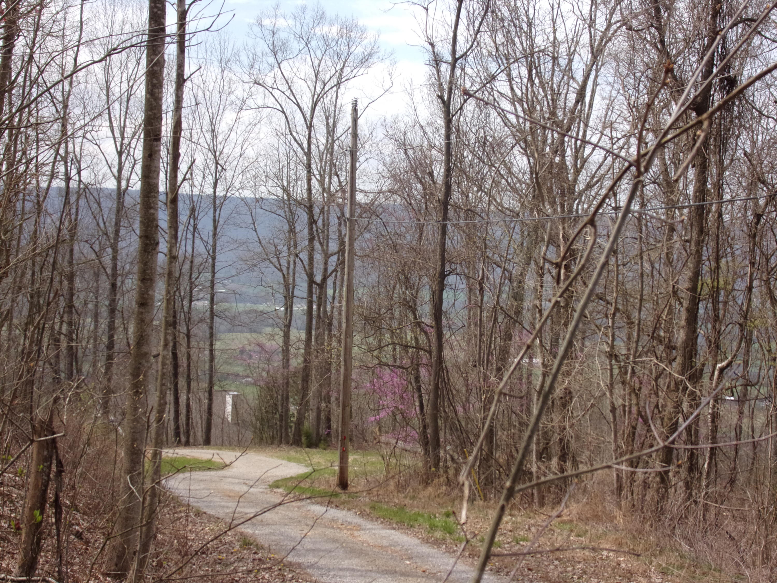 0 Cherokee Ridge Road Pikeville, TN 37367 - Photo 1 of 21 101_0975