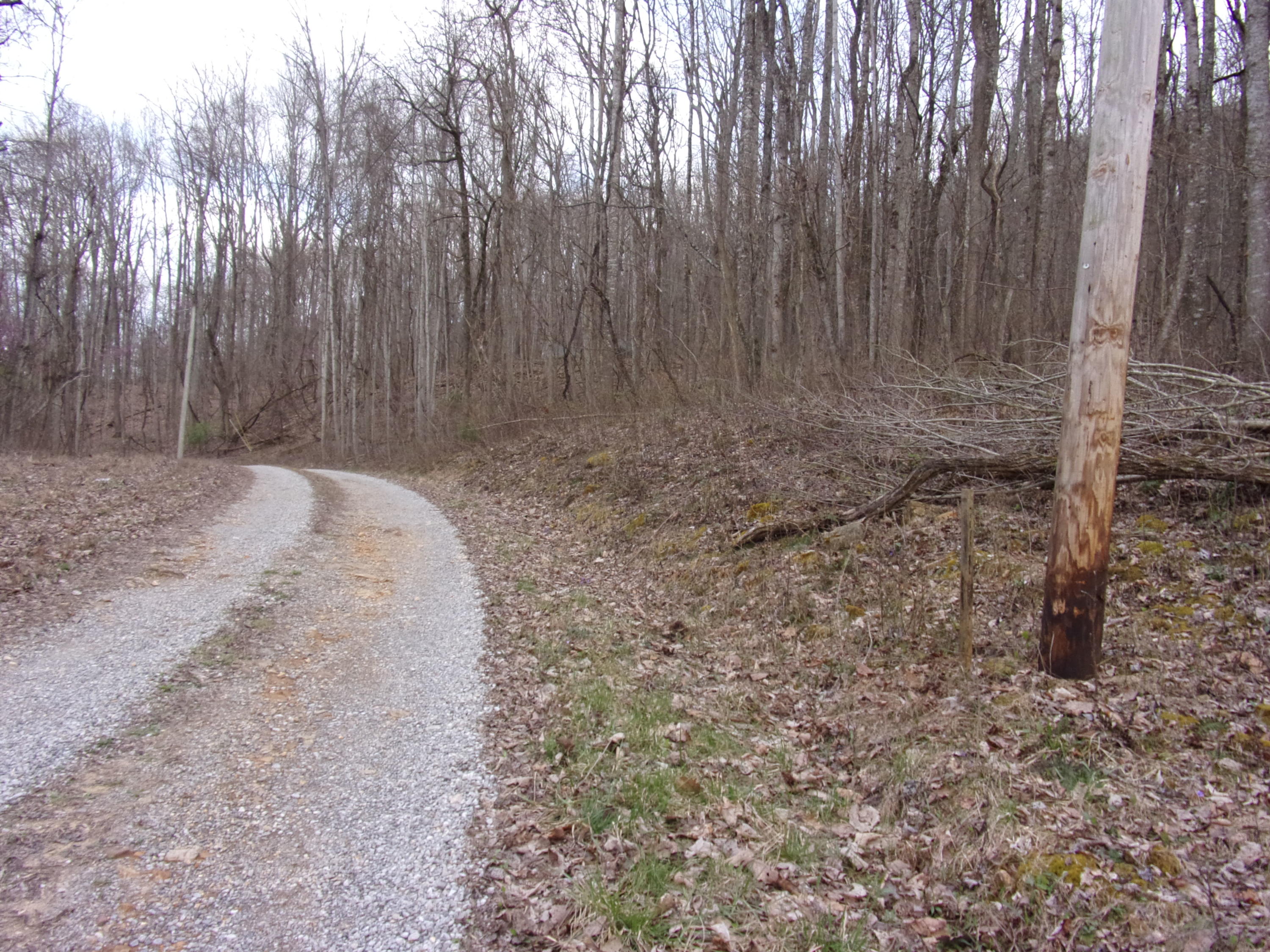 0 Cherokee Ridge Road Pikeville, TN 37367 - Photo 2 of 21 101_0955