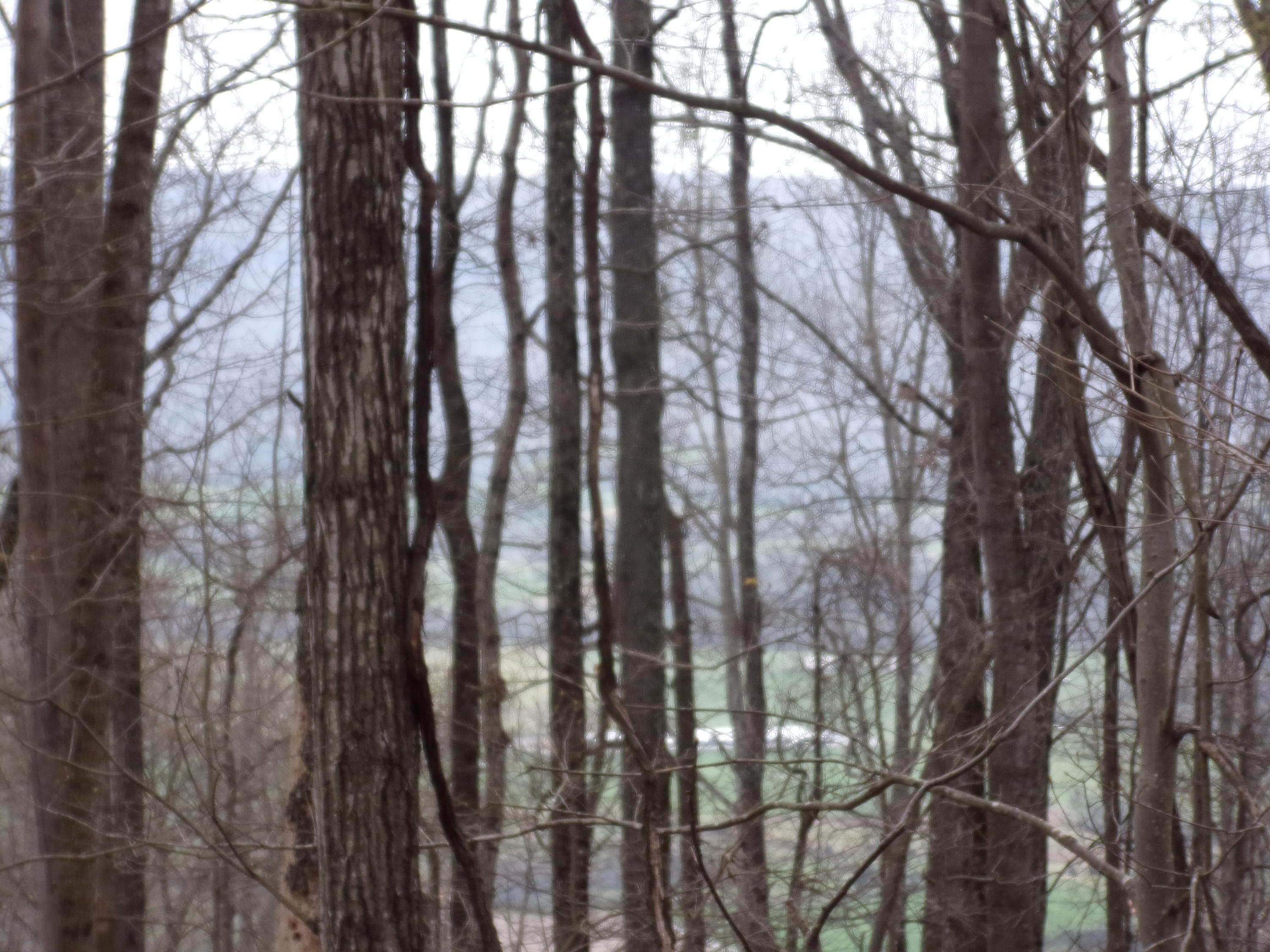0 Cherokee Ridge Road Pikeville, TN 37367 - Photo 3 of 21 101_0968