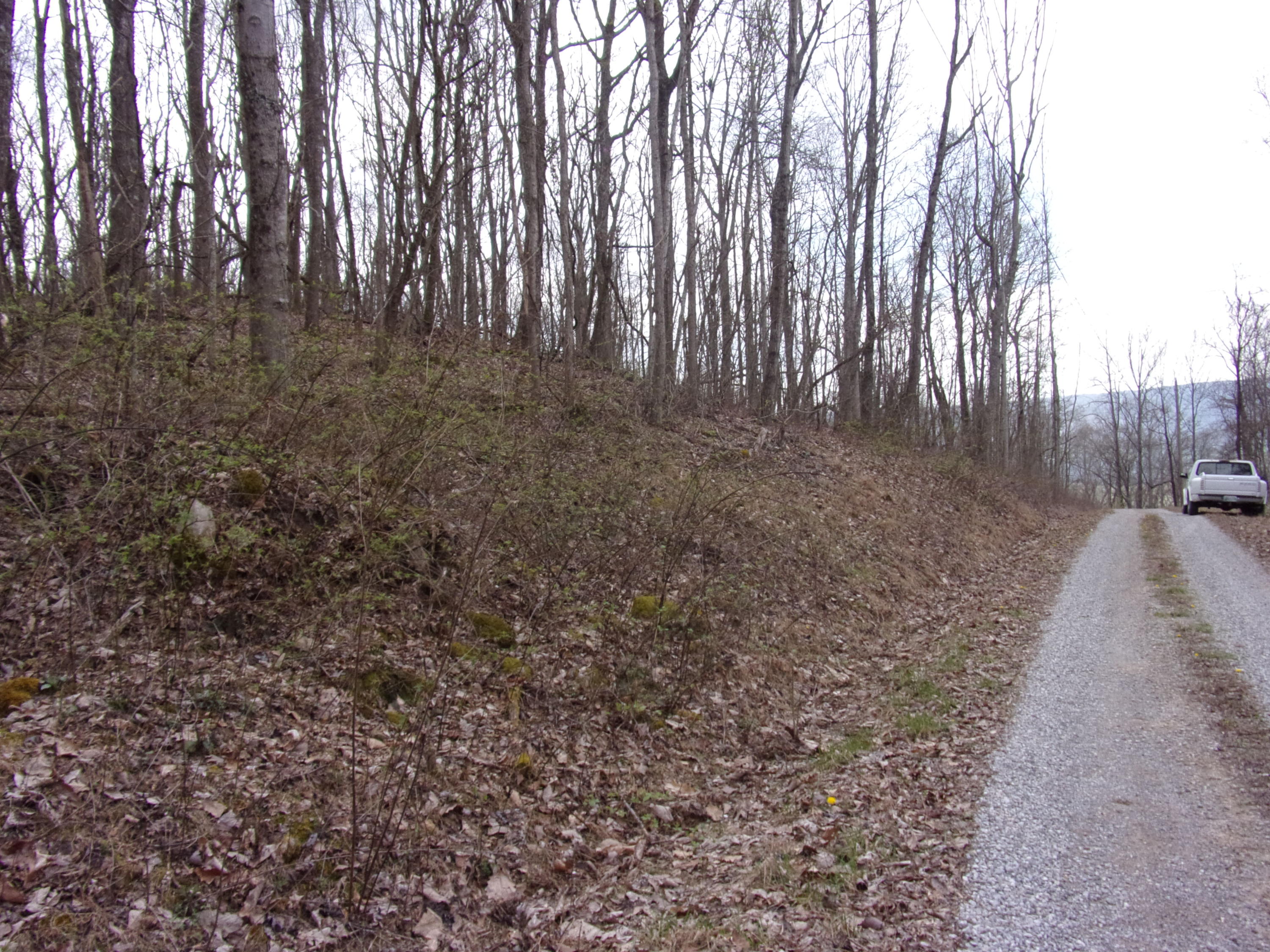 0 Cherokee Ridge Road Pikeville, TN 37367 - Photo 5 of 21 101_0957