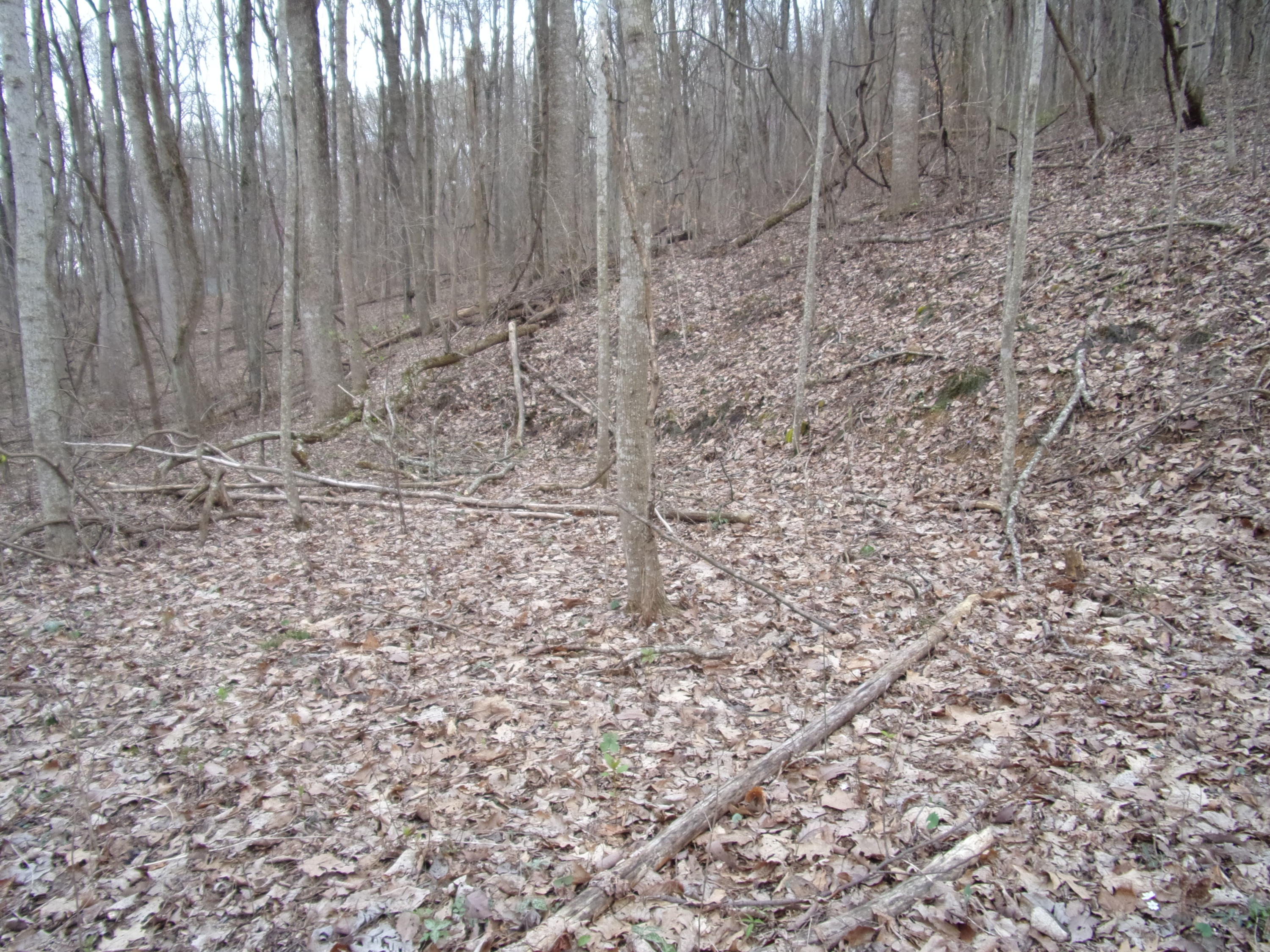 0 Cherokee Ridge Road Pikeville, TN 37367 - Photo 9 of 21 101_0961