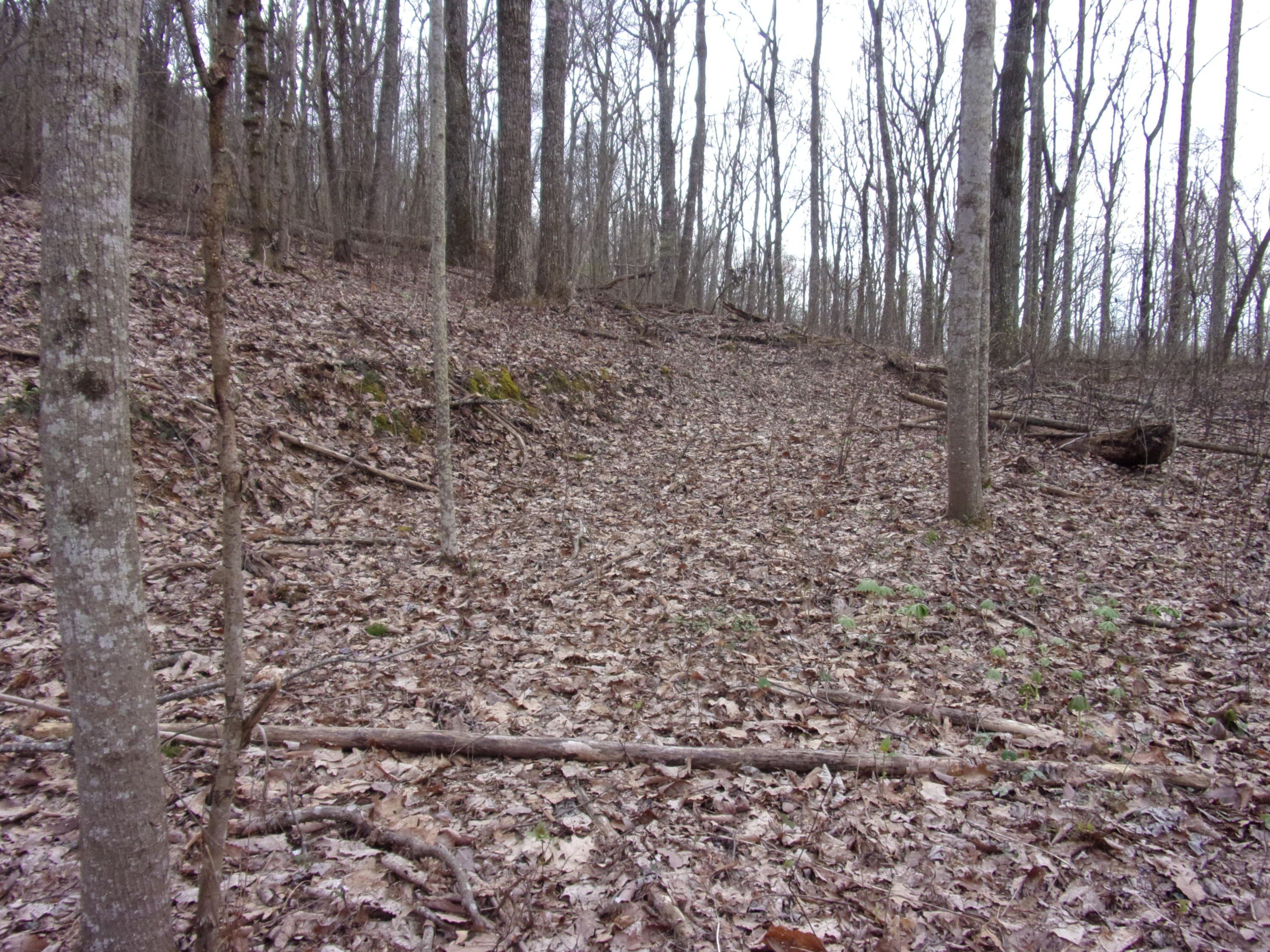 0 Cherokee Ridge Road Pikeville, TN 37367 - Photo 10 of 21 101_0962