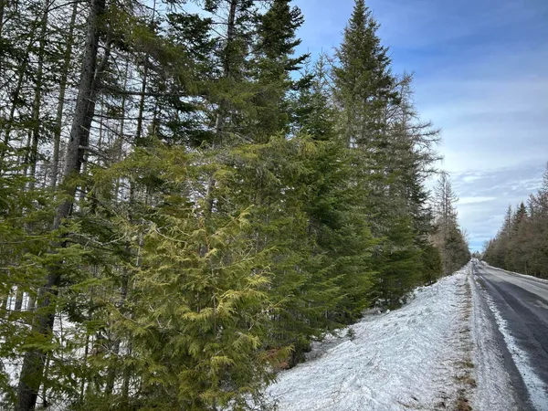 $49,500 | 0 East Jemtland Road, Caribou, ME 04736