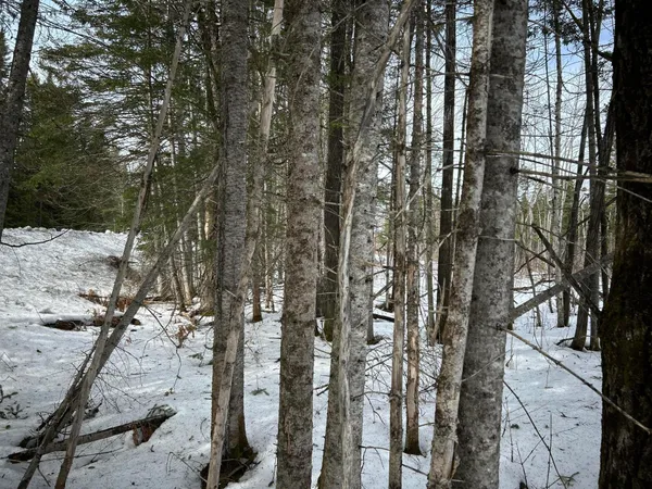 $49,500 | 0 East Jemtland Road, Caribou, ME 04736