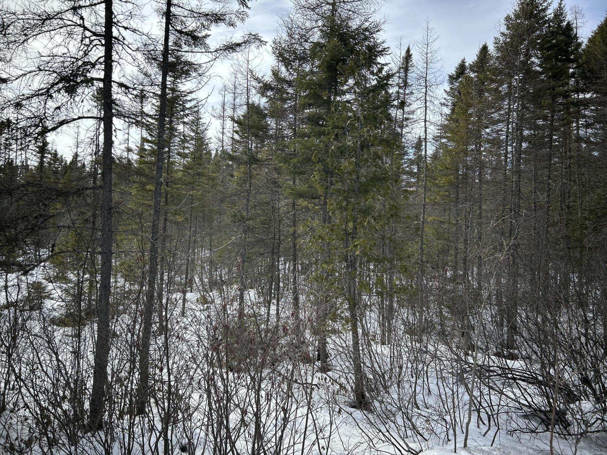 0 East Jemtland Road Caribou, ME 04736 - Photo 14 of 23 IMG_6932