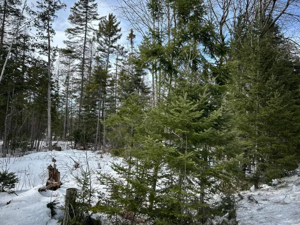 $49,500 | 0 East Jemtland Road, Caribou, ME 04736