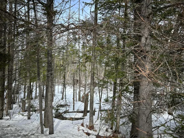 $49,500 | 0 East Jemtland Road, Caribou, ME 04736