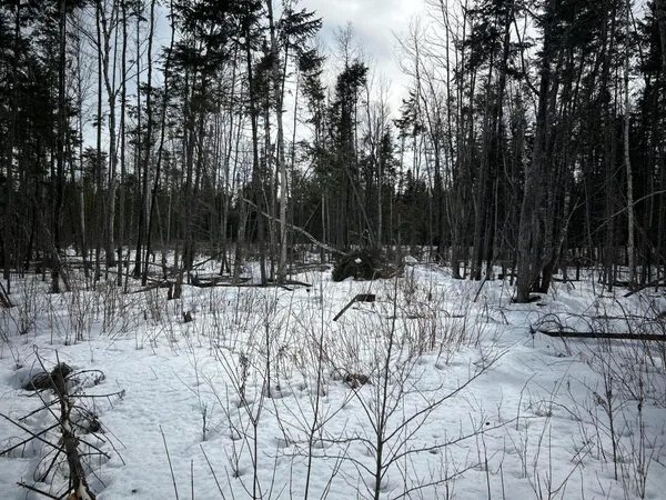 $49,500 | 0 East Jemtland Road, Caribou, ME 04736