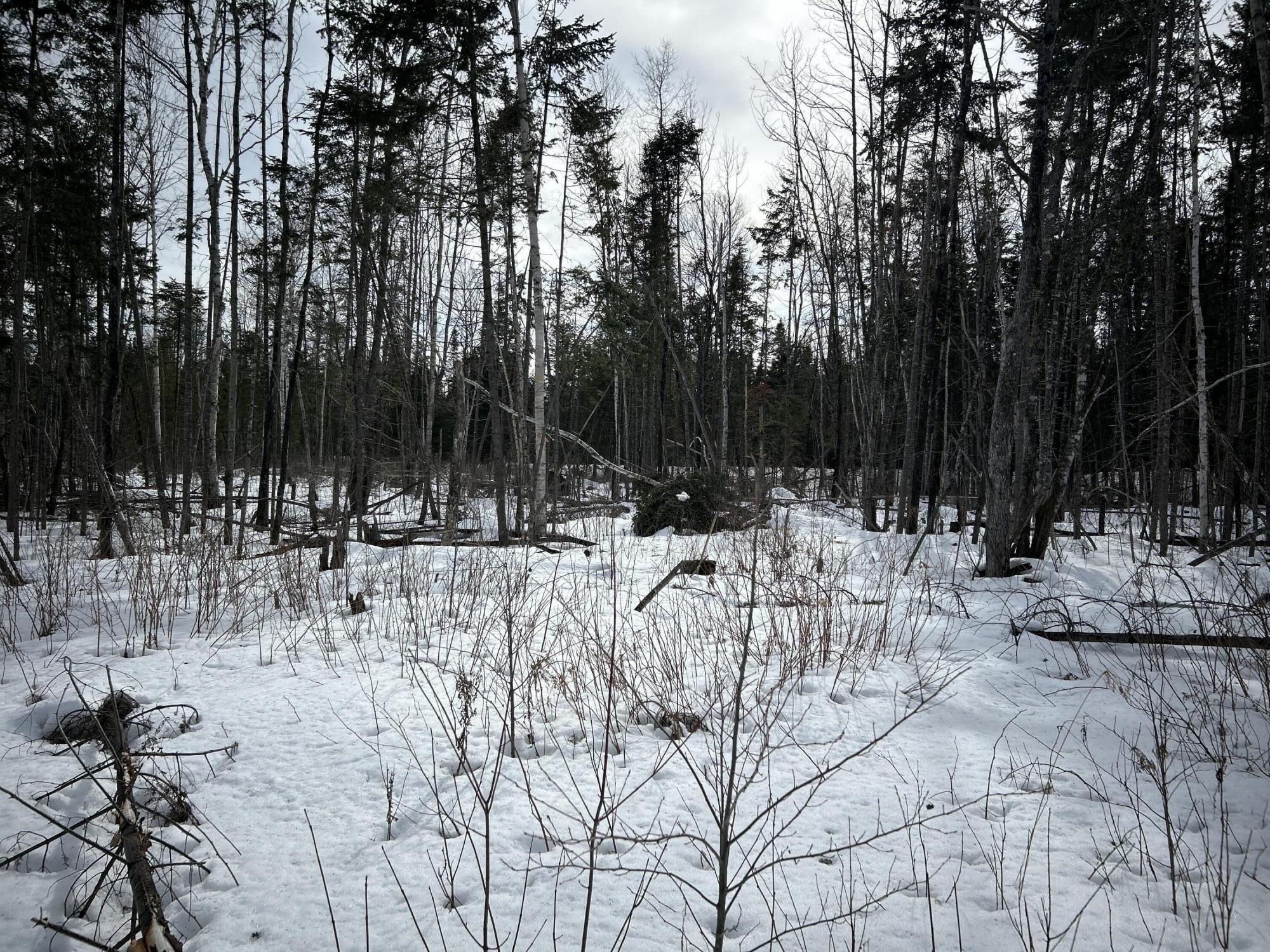 0 East Jemtland Road Caribou, ME 04736 - Photo 20 of 23 IMG_6892