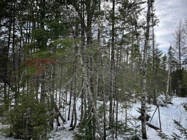 $49,500 | 0 East Jemtland Road, Caribou, ME 04736