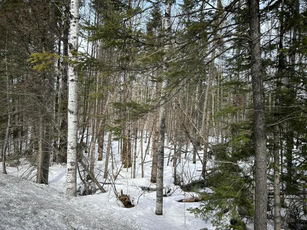 $49,500 | 0 East Jemtland Road, Caribou, ME 04736