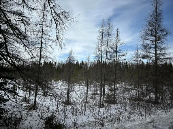 $49,500 | 0 East Jemtland Road, Caribou, ME 04736