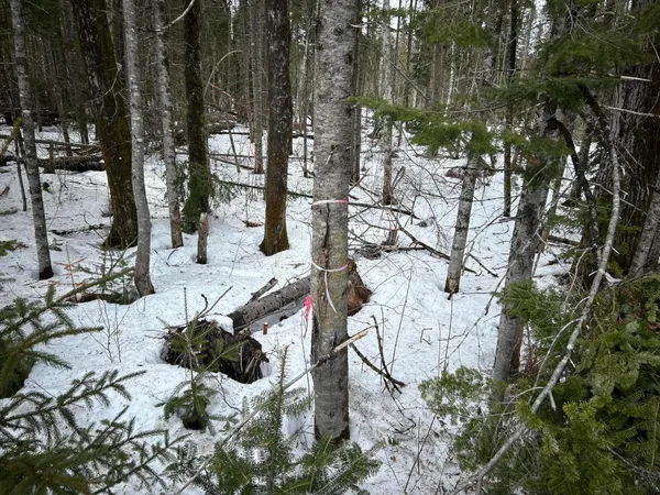 $49,500 | 0 East Jemtland Road, Caribou, ME 04736