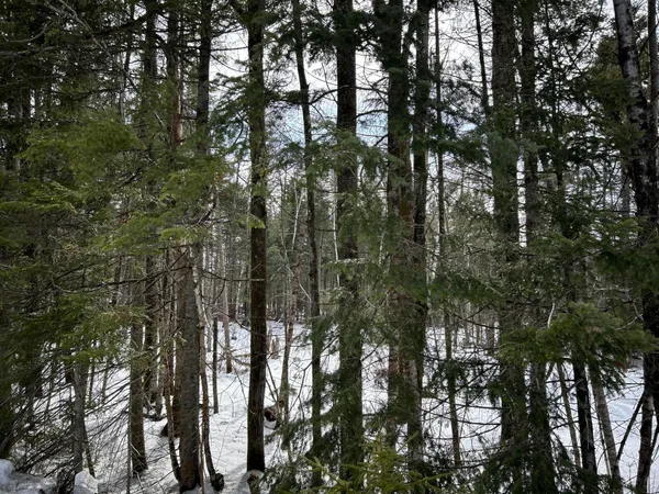 $49,500 | 0 East Jemtland Road, Caribou, ME 04736