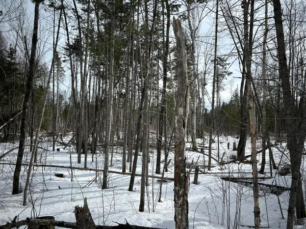 $49,500 | 0 East Jemtland Road, Caribou, ME 04736