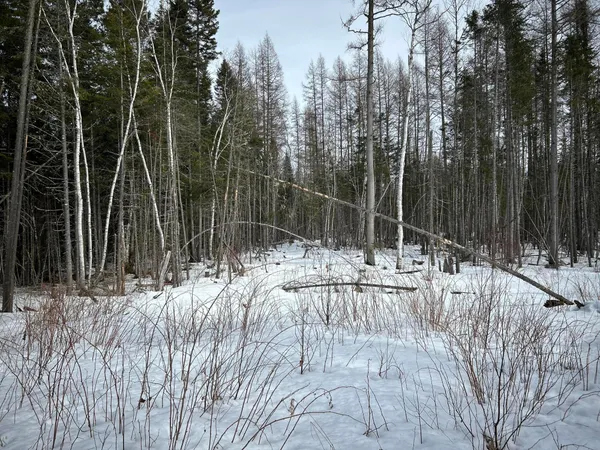 $49,500 | 0 East Jemtland Road, Caribou, ME 04736