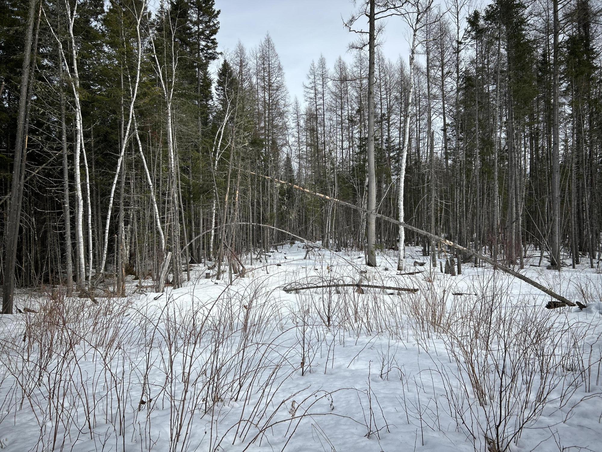 0 East Jemtland Road Caribou, ME 04736 - Photo 10 of 23 IMG_6887