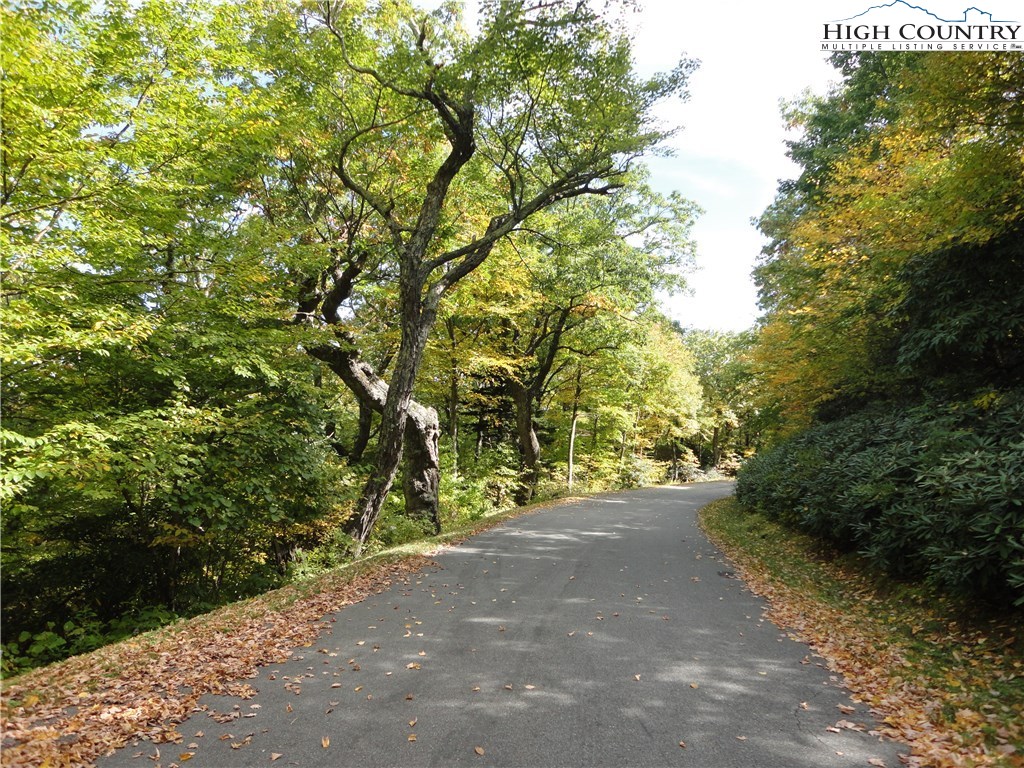 Lot 33 Hemlock Ridge Road Blowing Rock, NC 28605 - Photo 4 of 4 Gallery Image 4